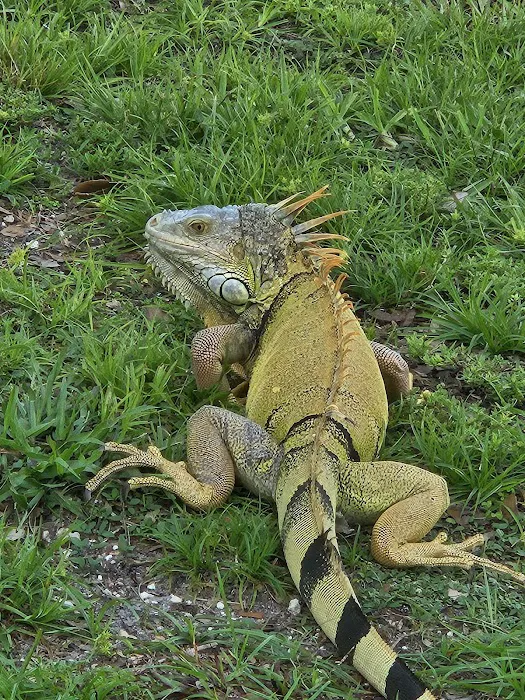 Holiday Park Picture 9