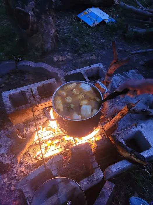 Holiday Park Picture 4