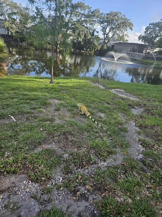 Holiday Park Picture 5