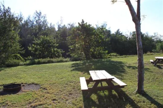 Cabin 1 on PRIM Loop in Oleta River State Park Picture 4