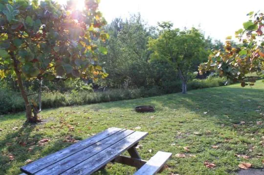 Cabin 1 on PRIM Loop in Oleta River State Park Picture 5