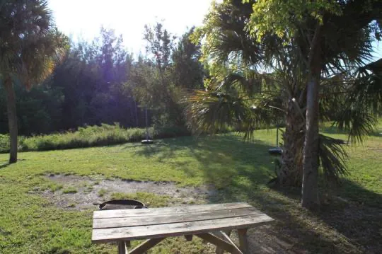 Cabin 1 on PRIM Loop in Oleta River State Park Picture 3