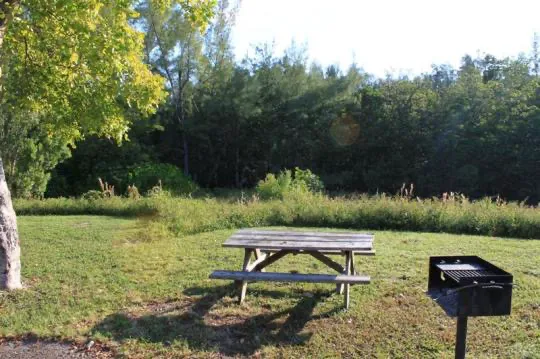 Cabin 1 on PRIM Loop in Oleta River State Park Picture 1