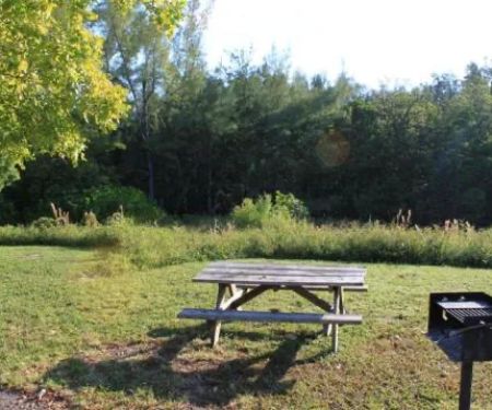 Cabin 1 on PRIM Loop in Oleta River State Park