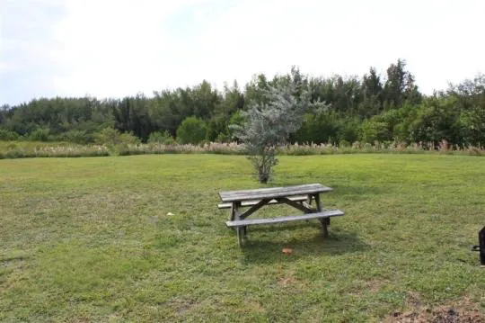 Cabin 2 on PRIM Loop in Oleta River State Park Picture 2