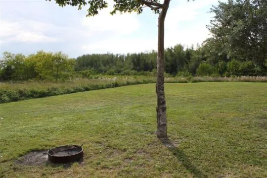 Cabin 3 on PRIM Loop in Oleta River State Park Picture 8