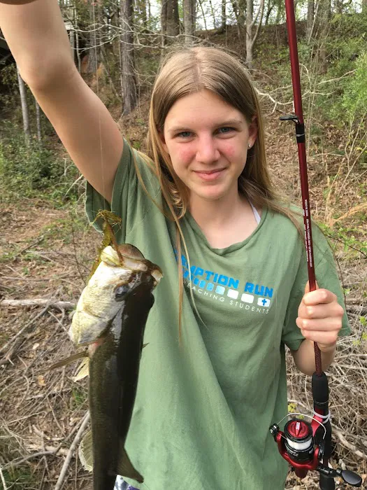 Primitive Equestrian Campground Picture 3