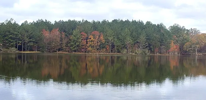 Hattiesburg / Okatoma River KOA Picture 5