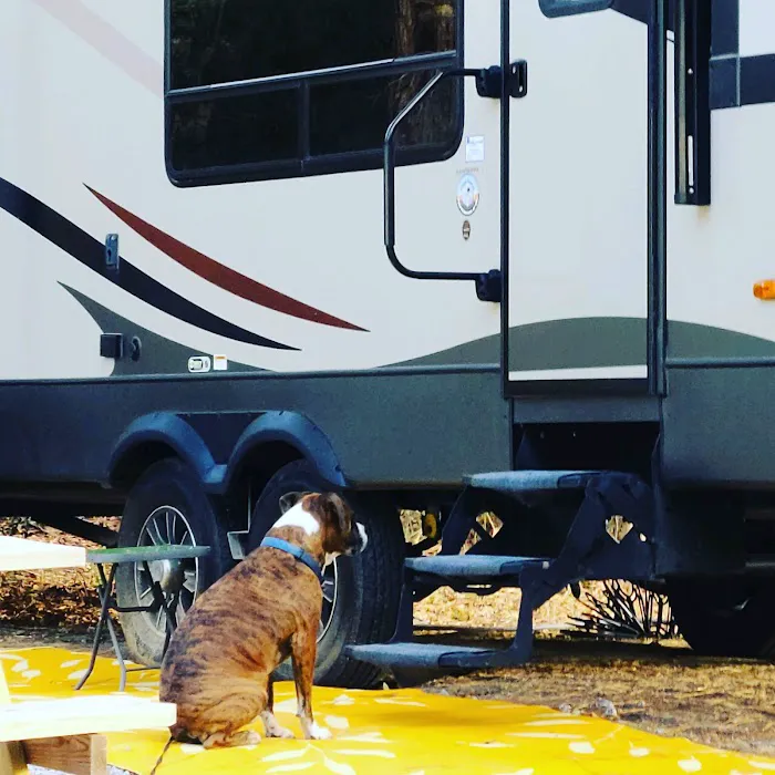 Hattiesburg / Okatoma River KOA Picture 10