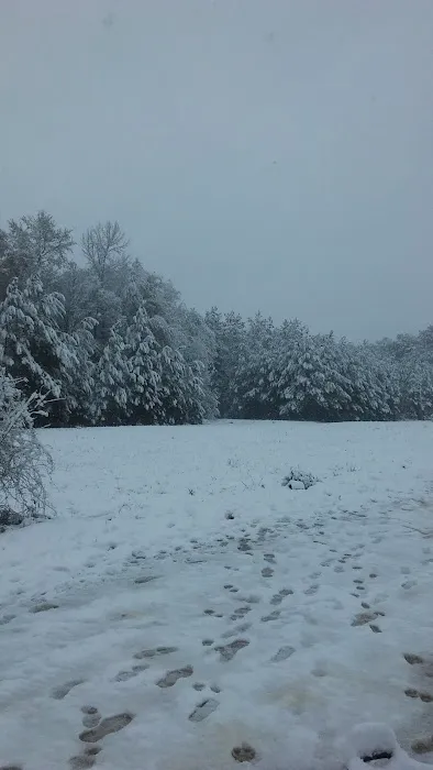 Forestry Department Jones Work Center Picture 1