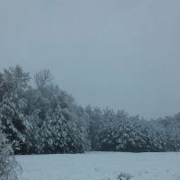 Forestry Department Jones Work Center ico