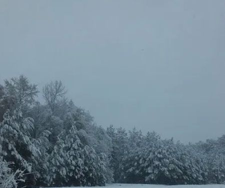 Forestry Department Jones Work Center