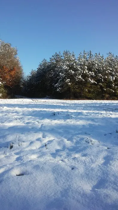 Forestry Department Jones Work Center Picture 4