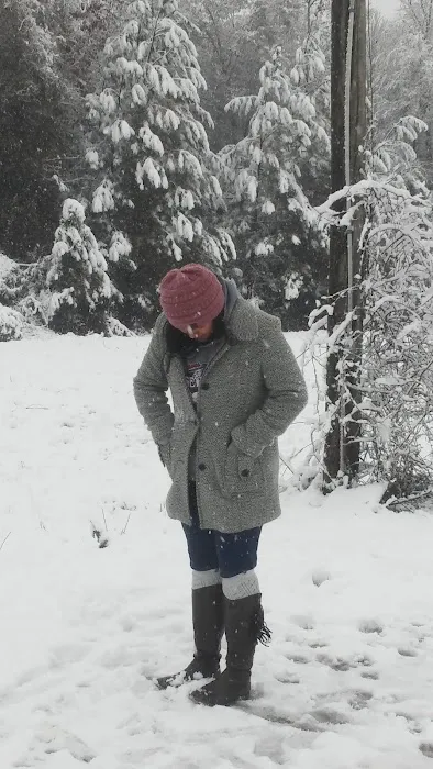 Forestry Department Jones Work Center Picture 3