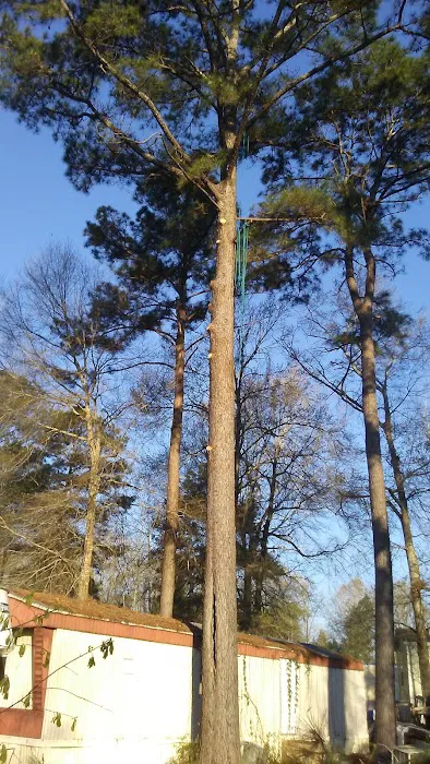 Forestry Department Jones Work Center Picture 2