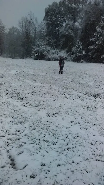 Forestry Department Jones Work Center Picture 9