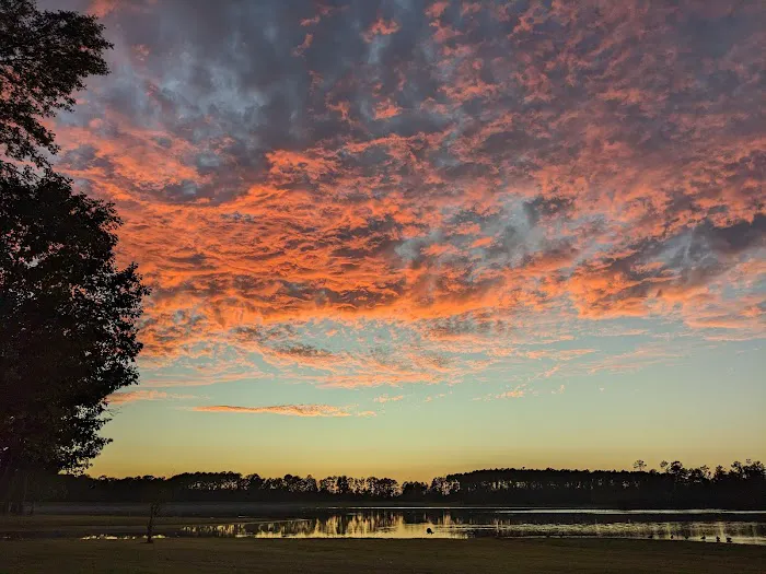 Big Creek Park Picture 6