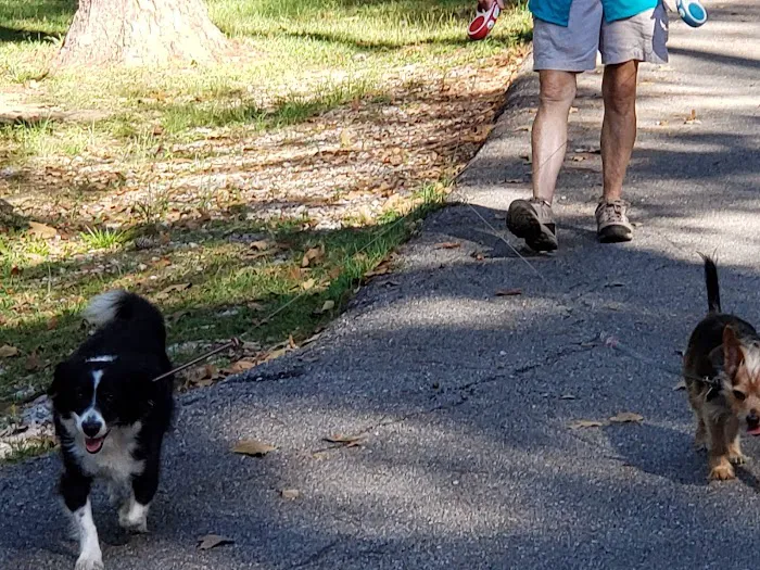 Big Creek Park Picture 8