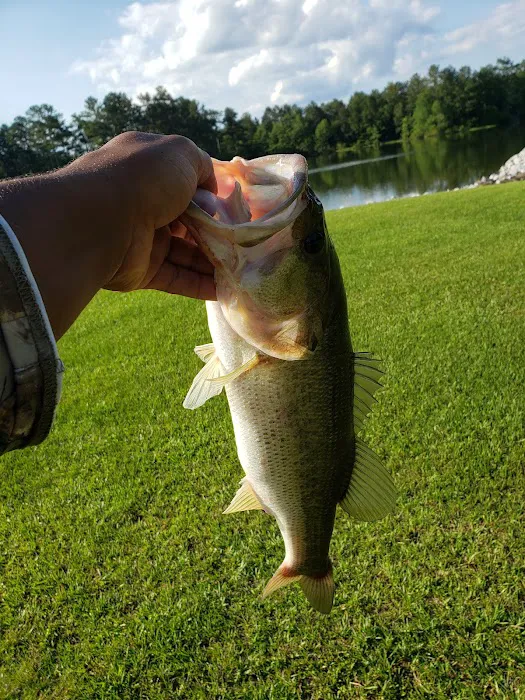 Lake Mike Conner Picture 1