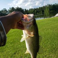 Lake Mike Conner ico