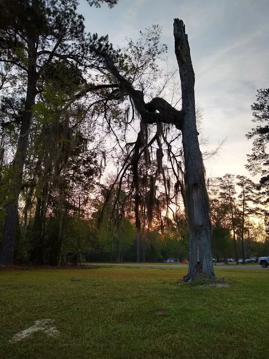 Group Camp 3 Picture 7