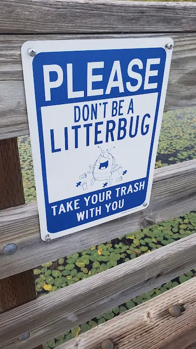 Dower Lake Recreation Area Campground Picture 8