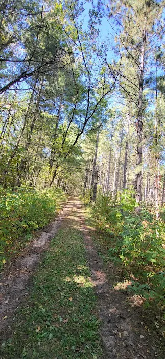 Old Wadena Park & Campground Picture 5