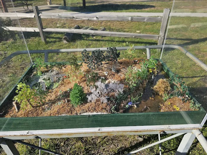 Old Wadena Park & Campground Picture 6