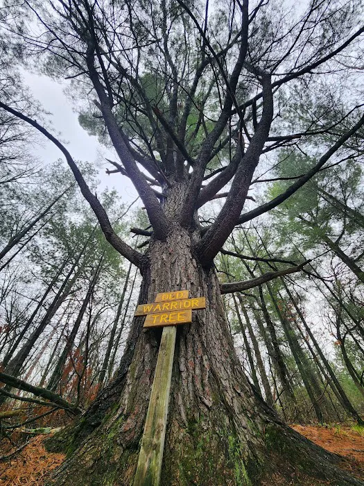 Old Wadena Park & Campground Picture 10