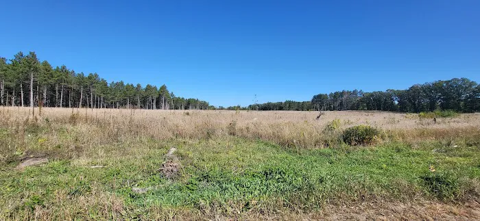 Old Wadena Park & Campground Picture 4