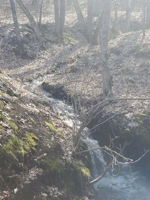 Knob Hill Campground Picture 2