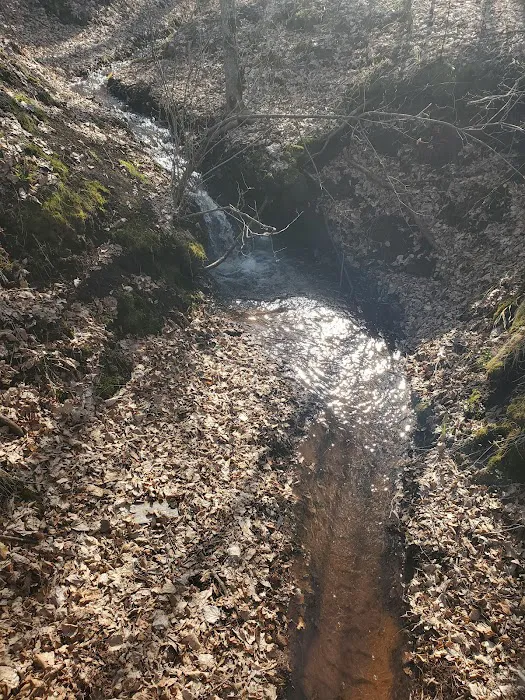 Knob Hill Campground Picture 4