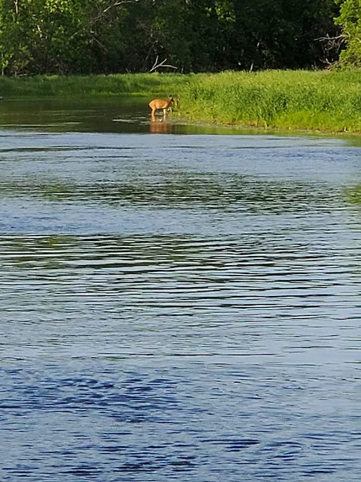 Knob Hill Campground Picture 1