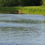 Knob Hill Campground