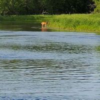 Knob Hill Campground ico