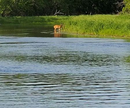 Knob Hill Campground