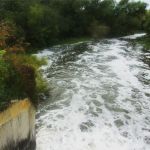 Niemackl Lake Park Campground