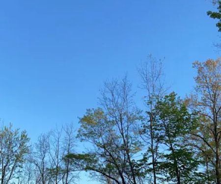 Camping at spider lake