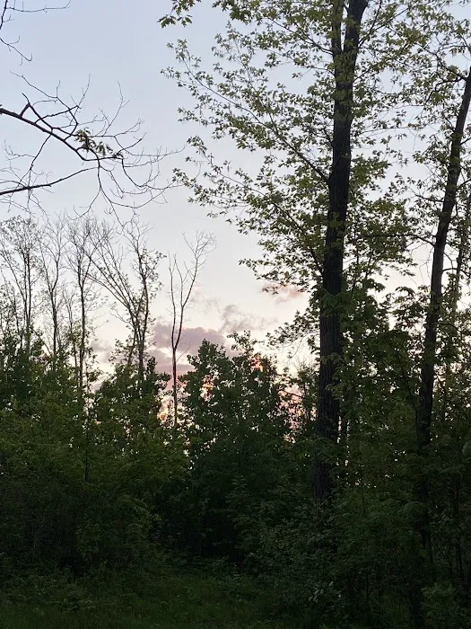 Camping at spider lake Picture 5