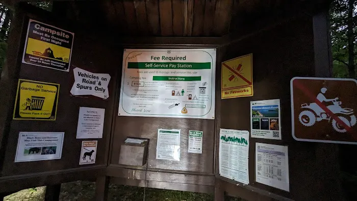 Mabel Lake Campground Picture 2