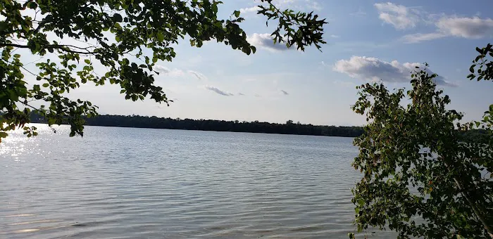 Mabel Lake Campground Picture 4