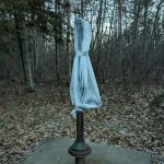 Mabel Lake Campground