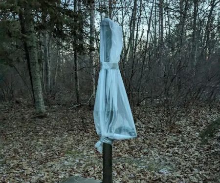 Mabel Lake Campground