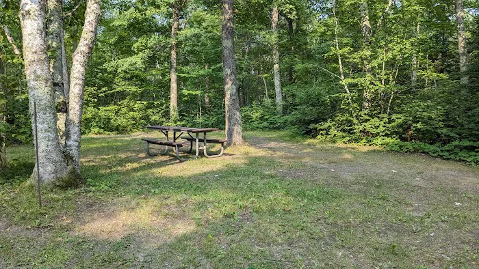 Mabel Lake Campground Picture 5