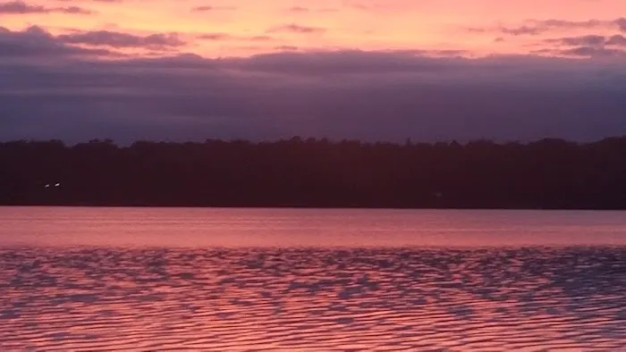 Mabel Lake Campground Picture 7