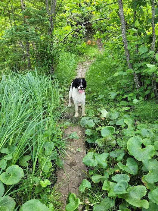 Hay Lake Campground Picture 9