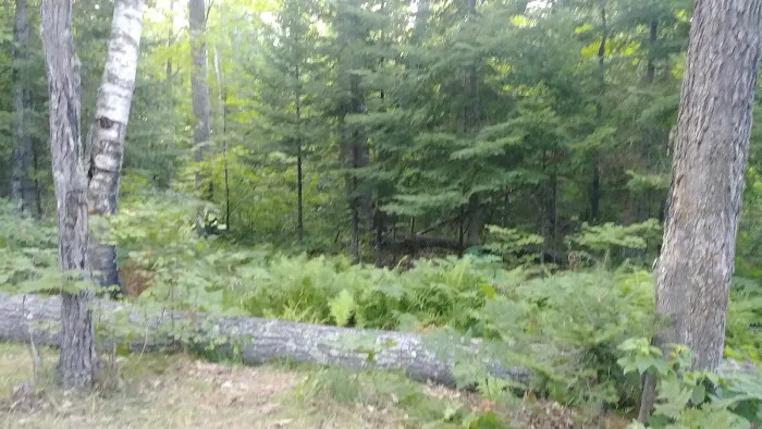 Hay Lake Campground Picture 1
