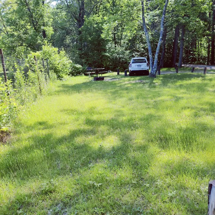 Jacobson Campground Picture 6