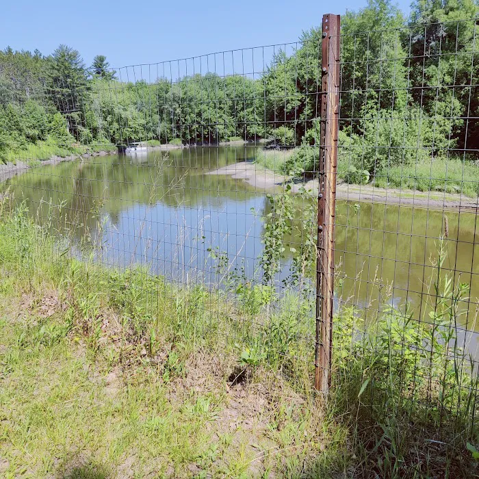 Jacobson Campground Picture 8