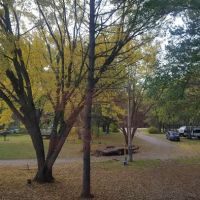 Sandy Pines Campground LLC ico